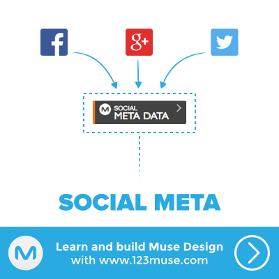 Social Meta Manager Widget