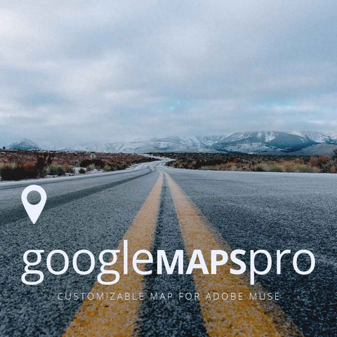 Google Maps Pro