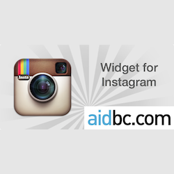 Muse Widget for Instagram