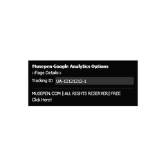 Google Analytics Widget