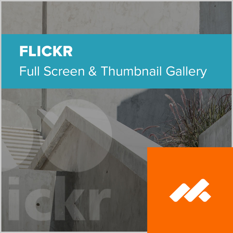 Flickr Gallery