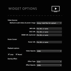 Fullscreen Video